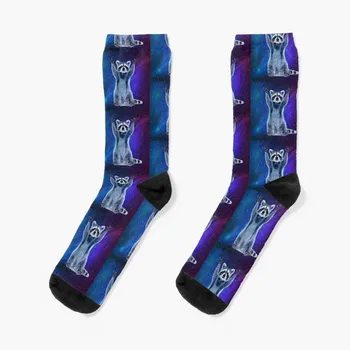Raccoon Galaxy -Симпатичные космические носки с енотом, черные носки, спортивные носки на заказ, мужские носки, роскошные женские